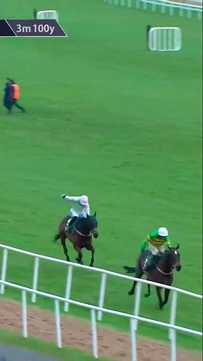 Fact To File is majestic in 2026 Irish Gold Cup with Galopin des Champs third ❤️