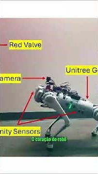 Robô-cão com IA combina visão, memória e tomada de decisão