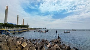 Mengapa PLTU Paiton Bisa Diserang Ubur-Ubur? Ilmuwan Ini Ungkap Alasannya : Okezone Economy