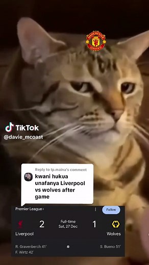 Liverpool vs Wolves Match Highlights and Insights