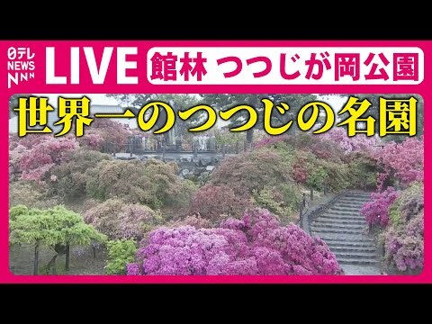 【天気ライブ】“世界一のつつじの名園”館林市つつじが岡公園 ──The world's best azalea garden Gunma, Tatebayashi City（日テレNEWS LIVE）