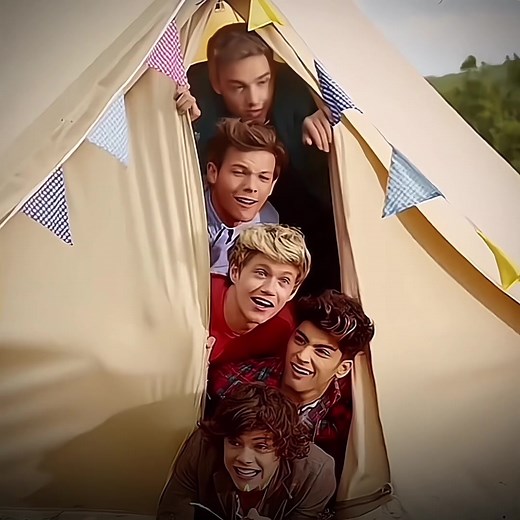 Liam Payne's Unforgettable One Direction Interview Moments