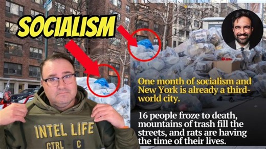 NYC s Garbage Disaster: Separating Fact from Political Spin | Ryan Mcbeth