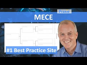 What is the MECE (Mutually Exclusive Collectively Exhaustive) in Lean Six Sigma? || Praxie Software