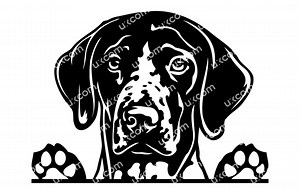 German Shorthaired Pointer Peeking Pointer Svg Pointer Paws Commercial Pointer Svg PNG EPS Dxf Pointer Clipart Vector Cricut Cut File Vinyl - Etsy Canada