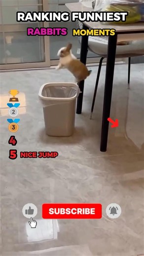 Ranking Funniest Bunny Moments (Part 4) #funny #shorts #animals