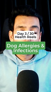 Boost Your Dog's Health with Pro Belly: A Key to Stronger Immunity It's a common sight these days: our furry friends getting sick often, despite all our care. You might have noticed your dog suffering from allergies or infections repeatedly. And each time, we turn to antibiotics for a quick fix. Sure, they help, but only for a while. Before you know it, your dog is unwell again. It's like a never-ending cycle. But why does this happen? The answer lies not just in treating the symptoms but in tac