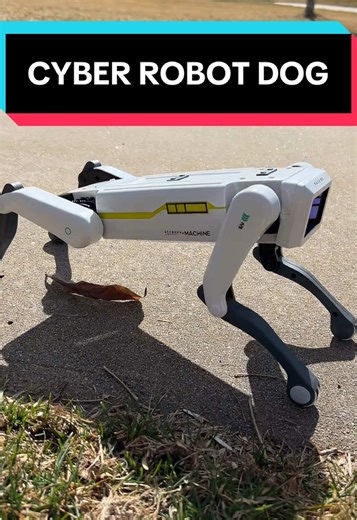 Discover Commands for Your Cyber Robot Dog