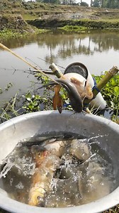 Fishing trap by using PVC pipe to catch huge fish #reels #fishing #fish #fishinglife | Planet Fish