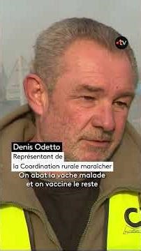 Dermatose et Mercosur : les agriculteurs apaisés après les annonces ?