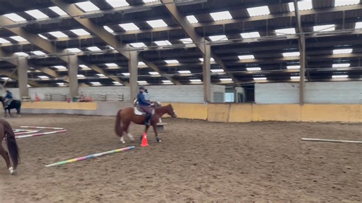 Hier se déroulait la formation découverte de l’équitation western organisé par le CRE HAUTS DE FRANCE pour les professionnels de l’équitation . Au programme : Trail in hand pour la découverte au sol puis Trail monté et reining Avec des idées d’exercices pédagogiques pour mettre en place chez eux . Hâte d’organiser une prochaine session ! | Kontikifarm Equitation Western & Ethologique