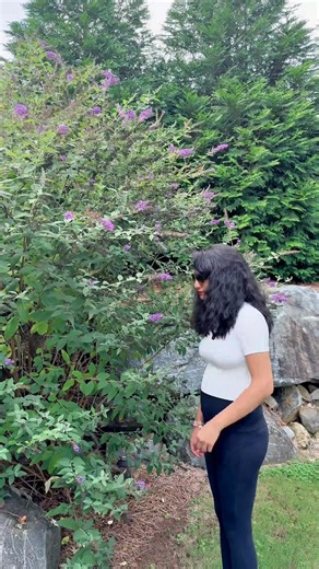 Meet the next level of sinus care. HydroPulse Neo delivers a powerful yet gentle pulsating rinse designed to break through congestion, flush out allergens, and support better breathing—all in one sleek, upgraded device. ✔️ Pulsating irrigation for deeper cleansing ✔️ Helps reduce nasal congestion & sinus pressure ✔️ Easy-fill reservoir smooth, comfortable flow ✔️ Your new go-to for daily sinus wellness Feel clearer. Breathe easier. Elevate your routine with HydroPulse Neo. https://amzn.to/3uYvvD