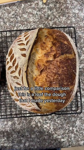 How to Fix Overproofed Dough: Tips and Tricks