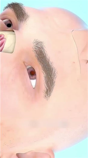 How a Nose Is Reconstructed | A Marvel of Modern Medical Science