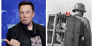Elon Musk tweets meme featuring Nazi soldier and people have questions