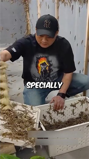 The chinese really farm everything… even lizards 🦎