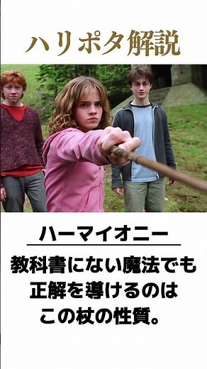 【ハリー・ポッター雑学】杖に込められた意味と素材＆芯から分かるキャラクターの性格。 #ハリーポッター