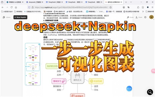 deepseek Napkin：一步一步生成可视化图表（位佳雯）