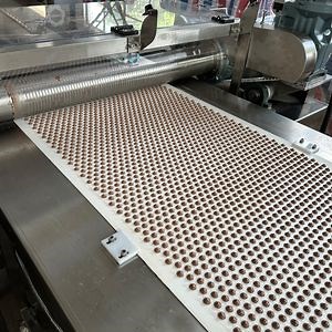 [Hot Item] Gusu Automatic Chocolate Chips Rotary Depositor Chocolate Making Machine