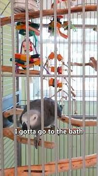 “Gotta Go Bathroom” 🤣