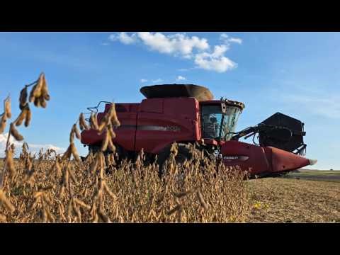 Soybean harvest 2026 starting