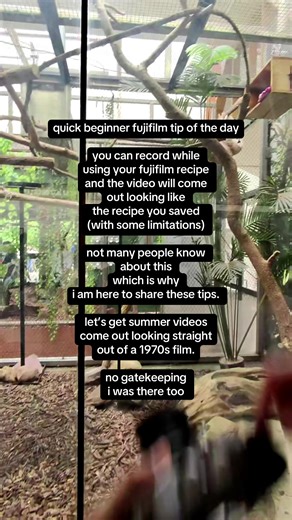 Fujifilm Beginner Tips for Capturing Cinematic Videos