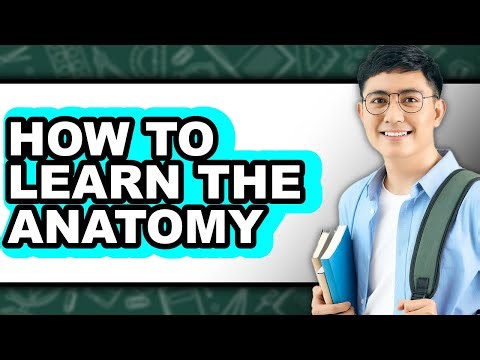 How to Learn the Anatomy - Full Guide