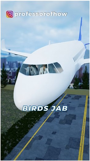 6.8K views · 63 reactions | क्या होगा अगर कोई पक्षी हवाई जहाज से टकरा जाए? | What if a Bird hits Aeroplane #shorts #facts #factsdaily #amazingfacts #interestingfacts #gkfacts #factsinhindi #viral #reel #reels #viralreel #viralreels #fact #viralvideo #viralfacts #aeroplane | Viral Facts | Facebook