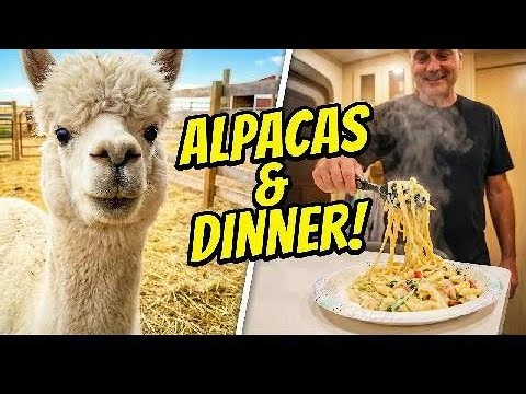 How to Cook a Full Comfort Dinner in an RV | Alpaca Farm Edition
