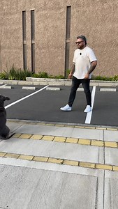 El control de impulsos no se enseña reprimiendo conductas, sino desarrollando la capacidad del perro para esperar, elegir y autocontrolarse. Ejercicios simples como pedir un ‘sentado’ antes de salir a pasear, esperar la orden antes de tomar la comida o trabajar con juguetes bajo señal de liberación, fortalecen la tolerancia a la frustración y generan un perro más estable y seguro. Todo esto se logra a través del refuerzo positivo, construyendo confianza en lugar de miedo. #entrecaninos #etologo 