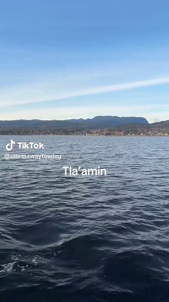 Scenic Boat Ride to Powell River, BC