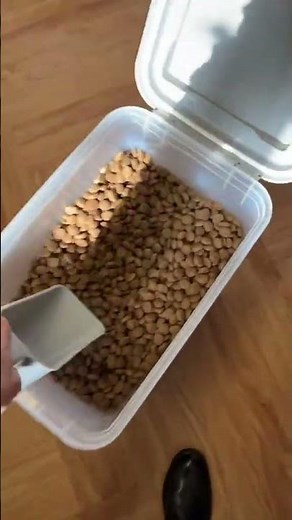 Why Every Dog Owner Needs This Food Storage! 🐾