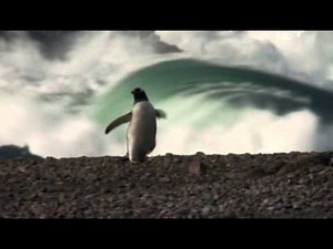 National Geographic Channel Promo Video №2