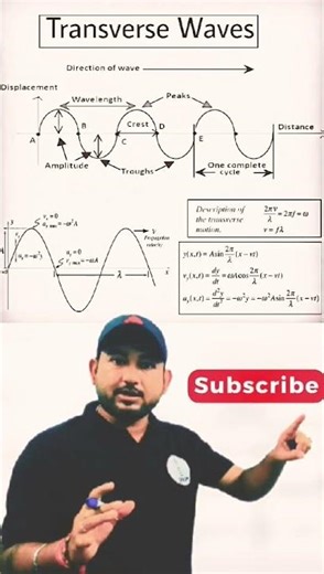 #Transversewave #class11physics #waves #shortnotes #jeemains #neet #bibeksir