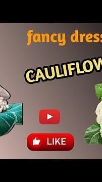 fancy dress competition ideas | fancy dress as a cauliflower