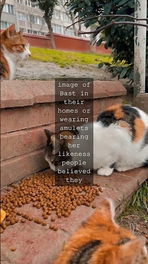 The Enigmatic Goddess Bast A Symbol of Protection and FertilityIn ancient Egyptian...