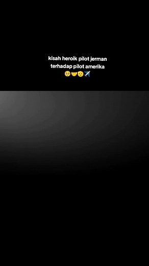 The Charlie Brown and Franz Stigler Incident in WW2 History