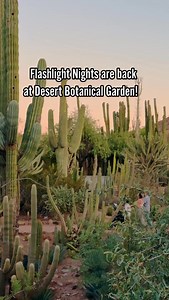 2.1K reactions · 29 comments | Flashlight Nights are back at @dbgphx...
