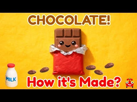 How It's Made: Chocolate! 🍫 | Fun Claymation Song for Kids 🎶 | DidaduTV