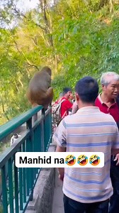 10K reactions · 1.9K shares | #highlightsシ゚ #everyonehighlights #adsonreels #funnyreels #viewers #nocopyrightinfringementintended #stressreliever #entertainment #animals | Roderic Ello Dinglasa | Facebook