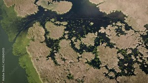 Water surface and reed swam drone view, Lake Tisza