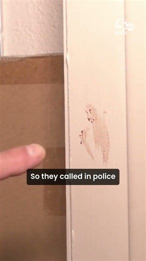 Oklahoma nonprofit break-in turns bizarre as surveillance video reveals raccoons behind mess