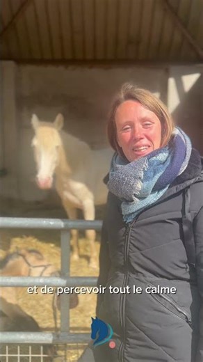 Qu'est ce qui a changé en toi depuis le début de ta formation en médiation équine ?