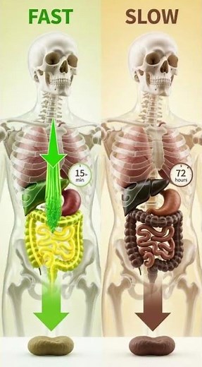 Your Poop Color Changes Daily | Bile Breakdown Explained #shorts
