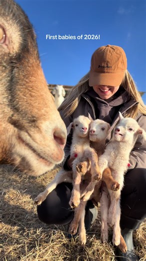 midwest emma (@midwest.emma5)’s videos with original sound - midwest emma