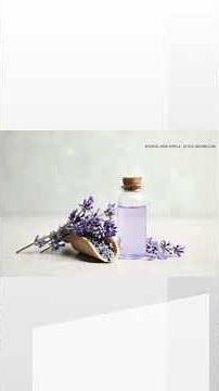 Does Lavender Oil Help Repel Mosquitos