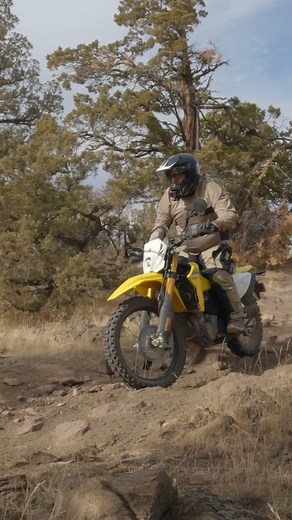 2.8K views · 168 reactions | I'm not sure who is having more fun: me riding the @suzukicycles #DRZ4s or @thegracefulrenegade watching me do it 藍藍 #trailriding #drz #dualsport | Dork in the Road | Facebook