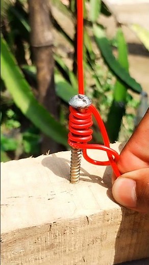 Useful Knot You Must Know! #knot #tutorial