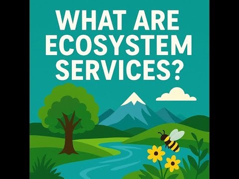 What are Ecosystem Services