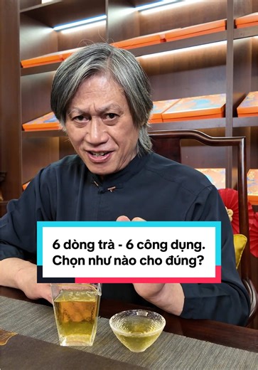 Mát gan, ngủ ngon, đường huyết, huyết áp, làm ấm cơ thể, xương khớp tốt. Mọi người tham khảo dòng trà phù hợp với mình nhé #tamdaoquan #chulamtamdao #xuhuong #trathaomoc #tra